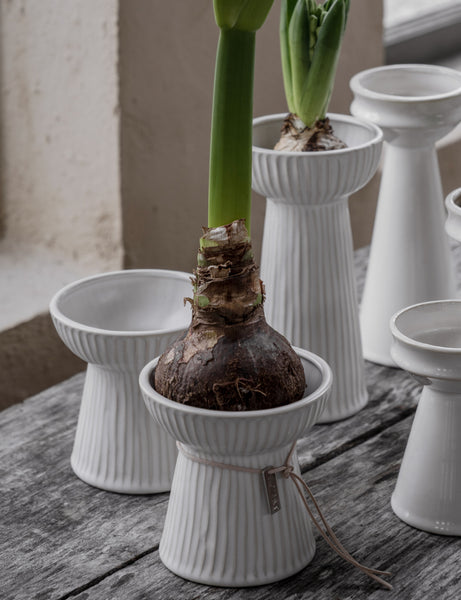 ERNST Lökvaser i två höjder